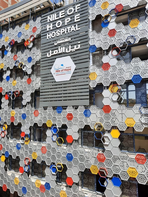 «مستشفى نيل الأمل» تعلن عن حملة لعلاج قلوب الأطفال بالمجان