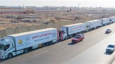 دخول 250 شاحنة مساعدات لغزة واستقبال أعداد من الجرحى والحالات الإنسانية 
