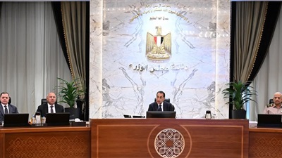 قرارات مجلس الوزراء: جذب الاستثمارات في مجال الغاز والزيت الخام 