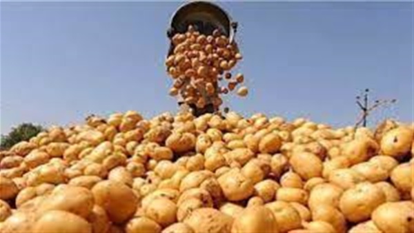 الحياة اليوم
