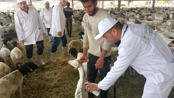 الحياة اليوم
