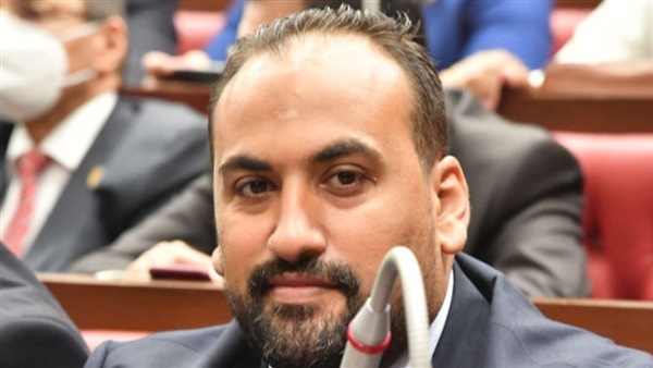 النائب محمد الرشيدي