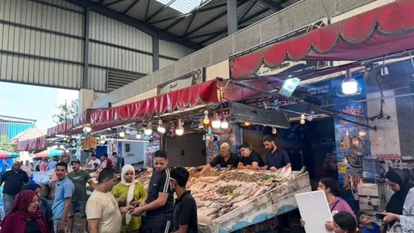 الحياة اليوم