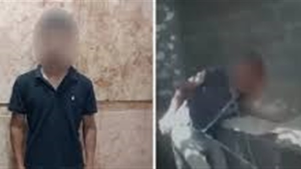 الحياة اليوم