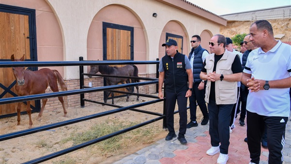 الرئيس السيسي خلال