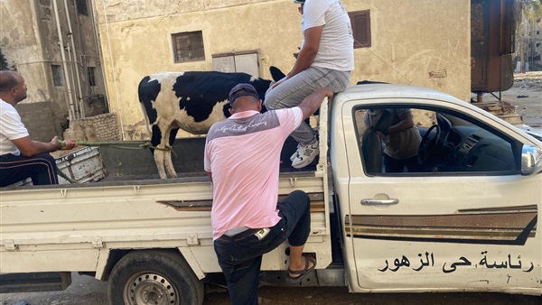 الحياة اليوم