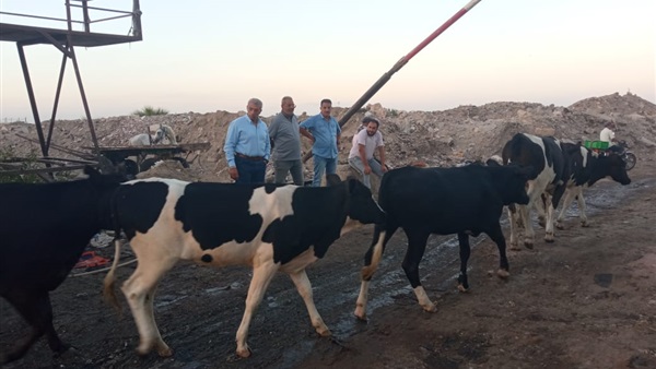 الحياة اليوم