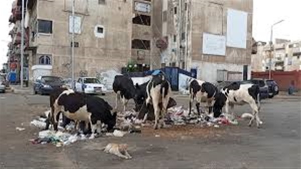 الحياة اليوم