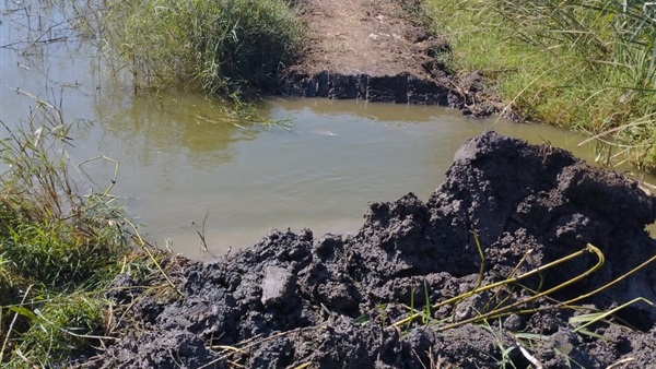 الحياة اليوم