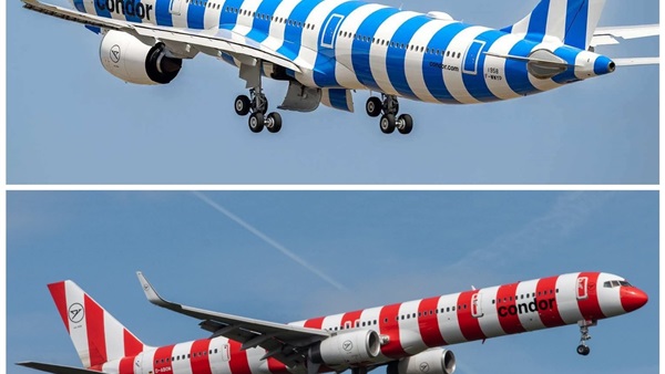 الحياة اليوم