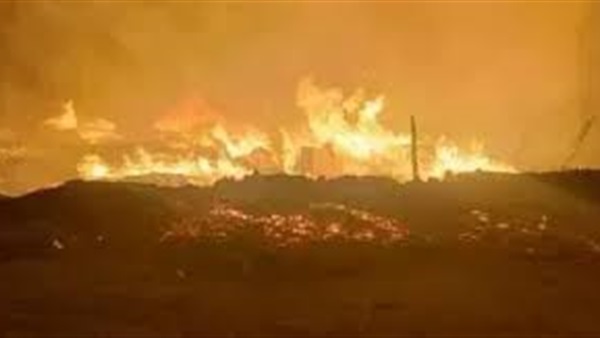 الحياة اليوم