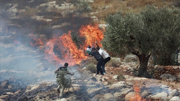 الحياة اليوم