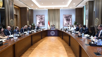 مدبولي يبحث استثمارا قطريا لإنتاج وقود الطائرات المستدام 