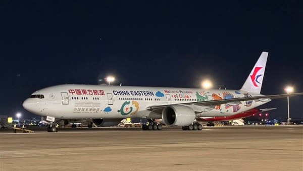 الحياة اليوم