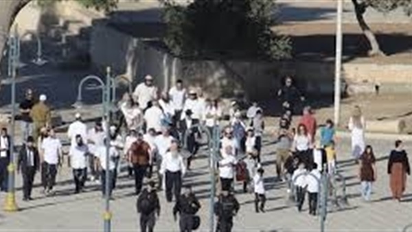 الحياة اليوم