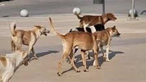 الحياة اليوم