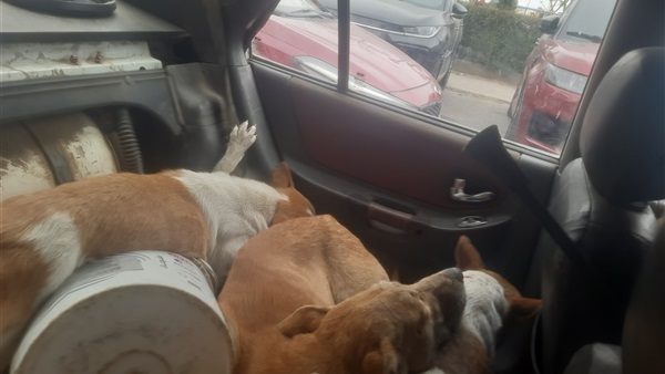 الحياة اليوم