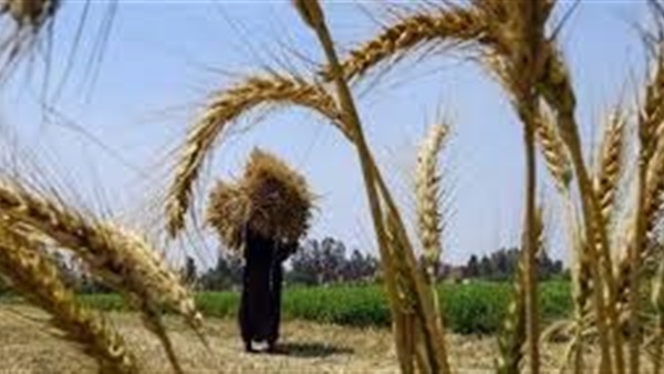 الحياة اليوم