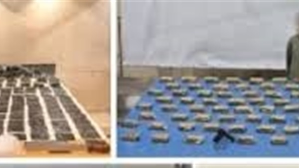 الحياة اليوم