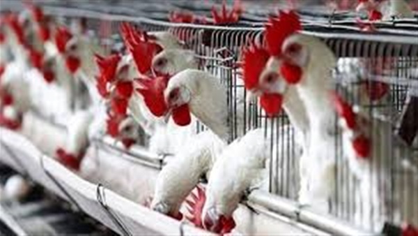 الحياة اليوم