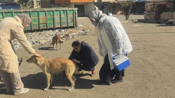 الحياة اليوم