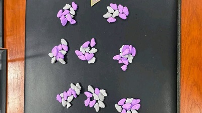 جمرك البريد المصرى بقرية البضائع بمطار القاهرة يضبط 3 محاولات تهريب مواد لمخدرة 