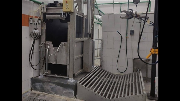 الحياة اليوم