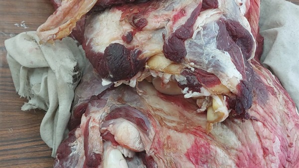 الحياة اليوم