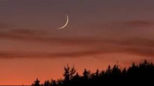 الحياة اليوم