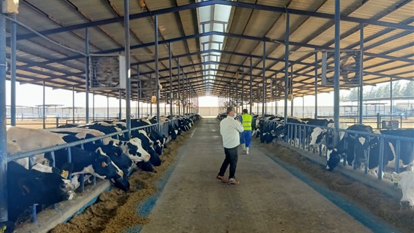 الحياة اليوم