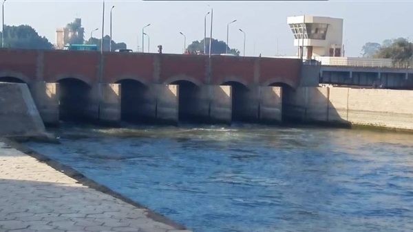 الحياة اليوم