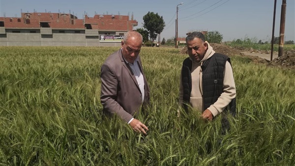 الحياة اليوم