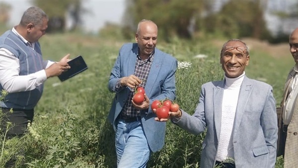 الحياة اليوم