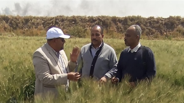 الحياة اليوم