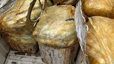 محافظ أسيوط: حملات مكثفة لضبط الأسواق والتصدي للأغذية الفاسدة حفاظًا على صحة المواطنين 