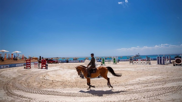 الحياة اليوم