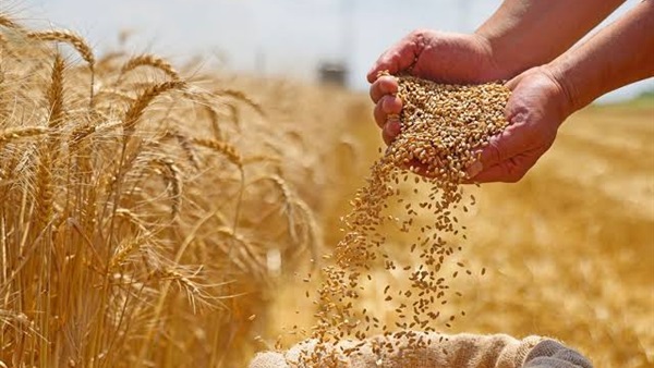 الحياة اليوم