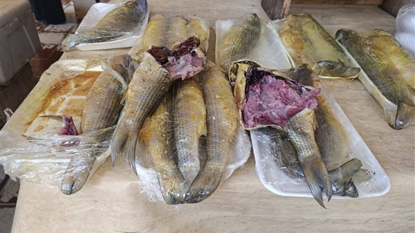 الحياة اليوم