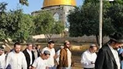 مصر تدين اقتحام مستوطنين المسجد الأقصى تحت حماية الشرطة الإسرائيلية 