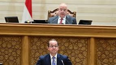 وزير المالية يكشف تحديد متوسط سعر الصرف عند 47 جنيها بموازنة 2026/2027 