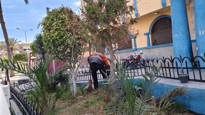 محافظة بورسعيد تطلق مبادرة «بصمة خضراء»  