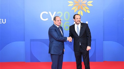 الرئيس السيسي: نرفض التهديدات الإيرانية لدول الخليج وأمن الأشقاء جزء من أمن مصر 