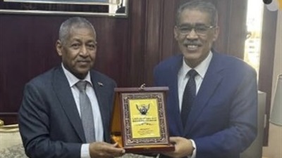 تعاون بين مصر والسودان في المجال الإعلامي لخدمة القضايا المشتركة 