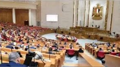 وفقا لتوجيهات الرئيس.. 4 لجان برلمانية تبدأ حوار مجتمعى حول قوانين الأسرة 