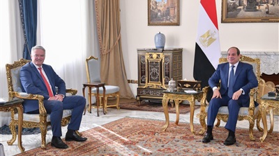الرئيس السيسي يلتقي الأمين العام لمنظمة التعاون الاقتصادي والتنمية OECD 
