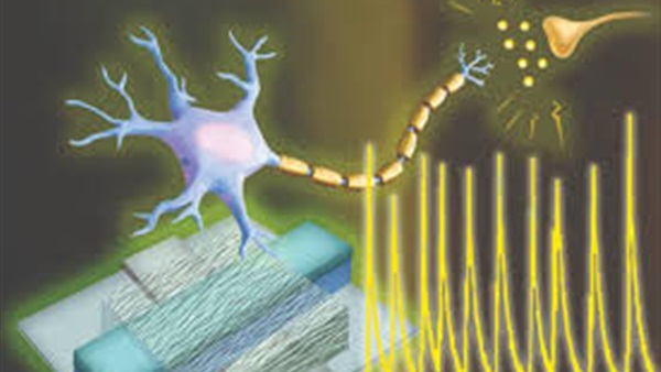 الحياة اليوم