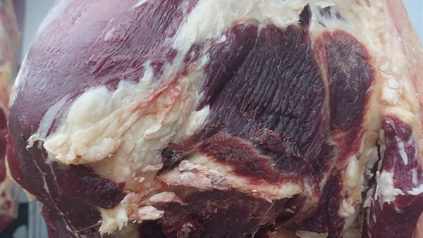 الحياة اليوم