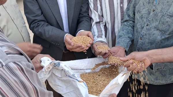 الحياة اليوم