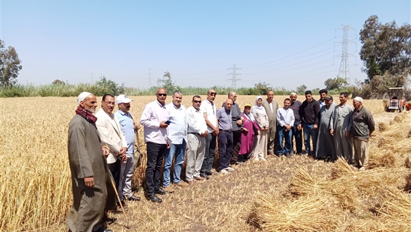 الحياة اليوم