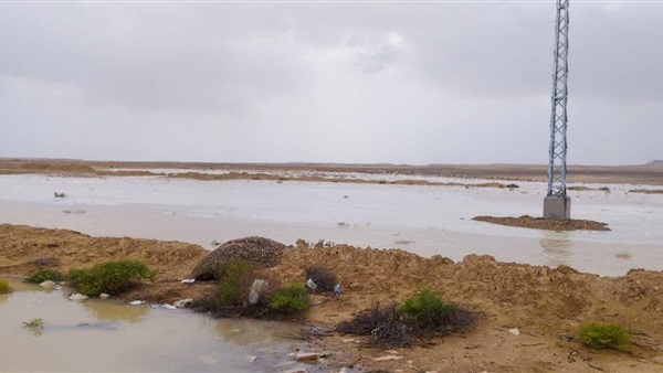 الحياة اليوم